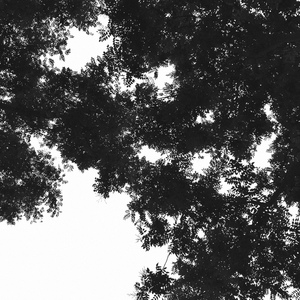 美女的拉屎隐私㊙️网站
