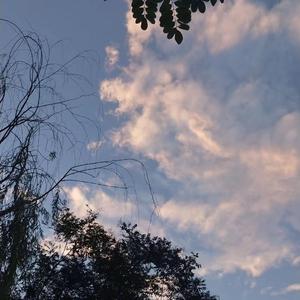 美女的拉屎隐私㊙️网站
