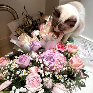 美女的拉屎隐私㊙️网站
