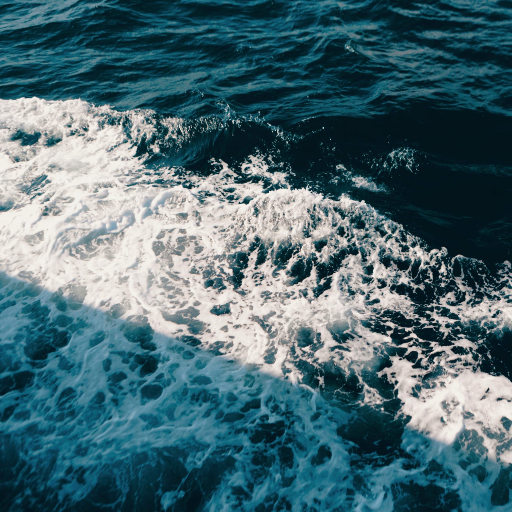 美女的拉屎隐私㊙️网站
